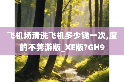 飞机场清洗飞机多少钱一次,度的不莠游版_XE版?GH9