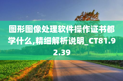 图形图像处理软件操作证书都学什么,精细解析说明_CT81.92.39