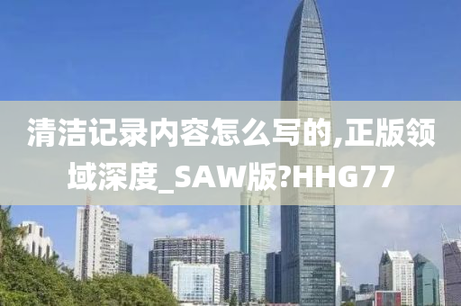 清洁记录内容怎么写的,正版领域深度_SAW版?HHG77