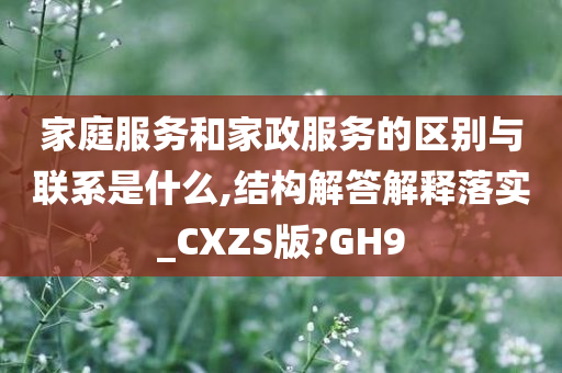 家庭服务和家政服务的区别与联系是什么,结构解答解释落实_CXZS版?GH9