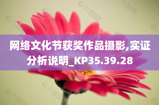 网络文化节获奖作品摄影,实证分析说明_KP35.39.28