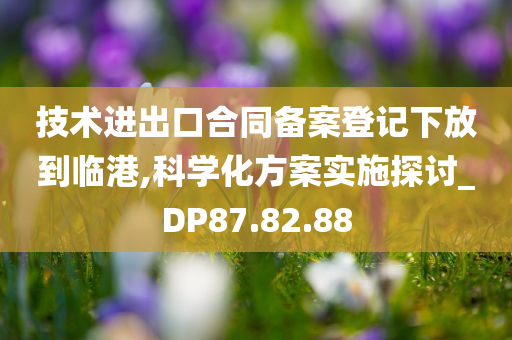 技术进出口合同备案登记下放到临港,科学化方案实施探讨_DP87.82.88