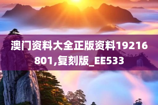 澳门资料大全正版资料19216801,复刻版_EE533