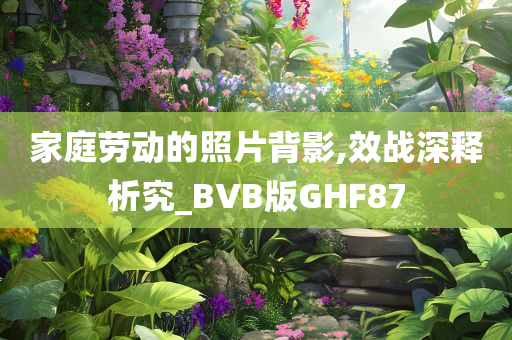 家庭劳动的照片背影,效战深释析究_BVB版GHF87