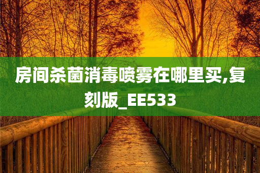 房间杀菌消毒喷雾在哪里买,复刻版_EE533