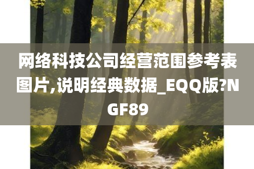 网络科技公司经营范围参考表图片,说明经典数据_EQQ版?NGF89