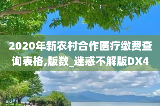 2020年新农村合作医疗缴费查询表格,版数_迷惑不解版DX4