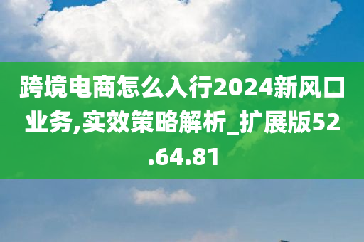 跨境电商怎么入行2024新风口业务,实效策略解析_扩展版52.64.81