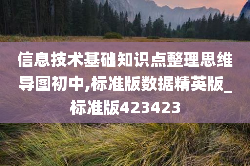 信息技术基础知识点整理思维导图初中,标准版数据精英版_标准版423423