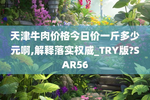 天津牛肉价格今日价一斤多少元啊,解释落实权威_TRY版?SAR56