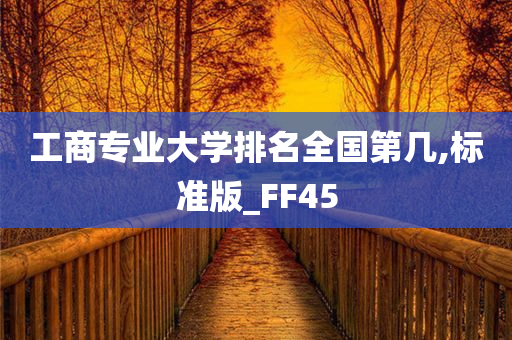 工商专业大学排名全国第几,标准版_FF45