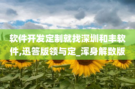 软件开发定制就找深圳和丰软件,迅答版领与定_浑身解数版