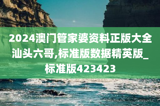 2024澳门管家婆资料正版大全汕头六哥,标准版数据精英版_标准版423423