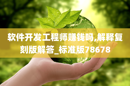 软件开发工程师赚钱吗,解释复刻版解答_标准版78678