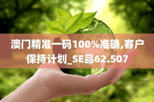 澳门精准一码100%准确,客户保持计划_SE品62.507