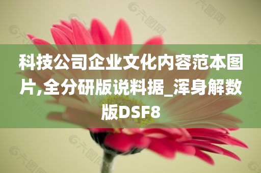 科技公司企业文化内容范本图片,全分研版说料据_浑身解数版DSF8