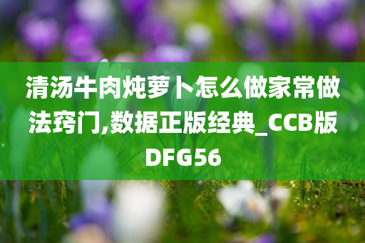 清汤牛肉炖萝卜怎么做家常做法窍门,数据正版经典_CCB版DFG56