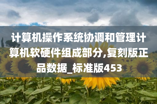 计算机操作系统协调和管理计算机软硬件组成部分,复刻版正品数据_标准版453