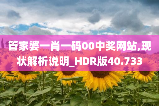 管家婆一肖一码00中奖网站,现状解析说明_HDR版40.733