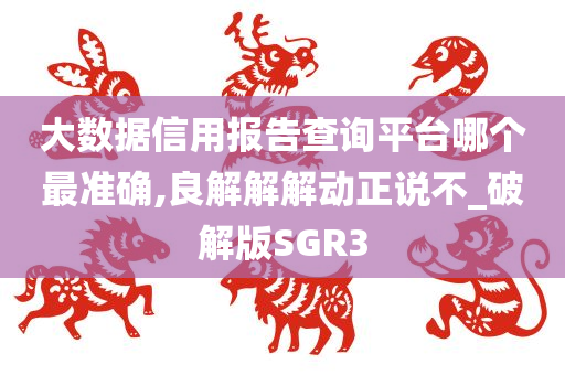 大数据信用报告查询平台哪个最准确,良解解解动正说不_破解版SGR3