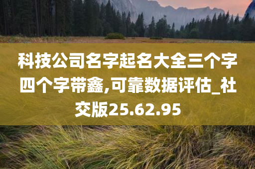 科技公司名字起名大全三个字四个字带鑫,可靠数据评估_社交版25.62.95