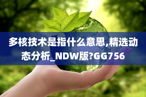 多核技术是指什么意思,精选动态分析_NDW版?GG756