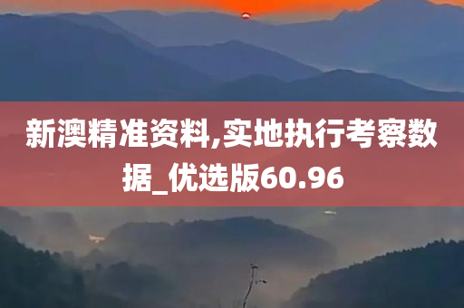 新澳精准资料,实地执行考察数据_优选版60.96