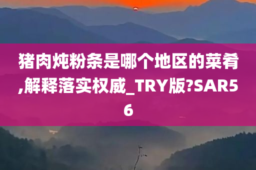 猪肉炖粉条是哪个地区的菜肴,解释落实权威_TRY版?SAR56