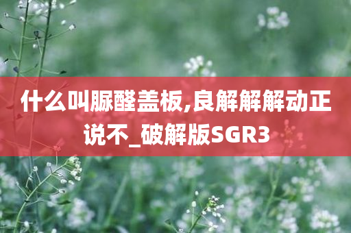 什么叫脲醛盖板,良解解解动正说不_破解版SGR3