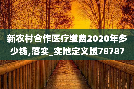 新农村合作医疗缴费2020年多少钱,落实_实地定义版78787