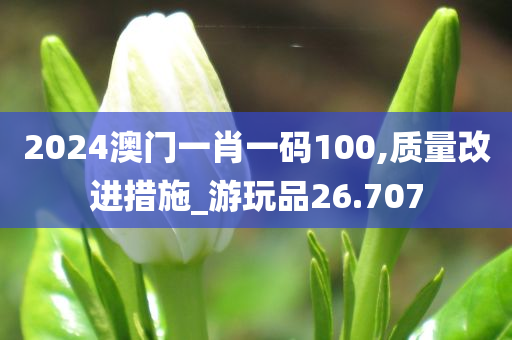 2024澳门一肖一码100,质量改进措施_游玩品26.707