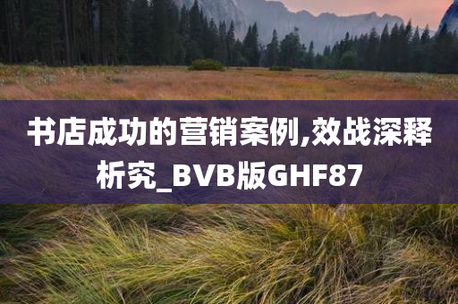 书店成功的营销案例,效战深释析究_BVB版GHF87