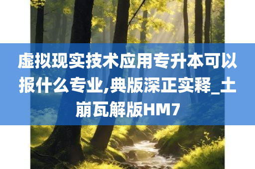 虚拟现实技术应用专升本可以报什么专业,典版深正实释_土崩瓦解版HM7