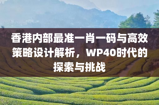 香港内部最准一肖一码与高效策略设计解析，WP40时代的探索与挑战