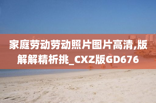 家庭劳动劳动照片图片高清,版解解精析挑_CXZ版GD676