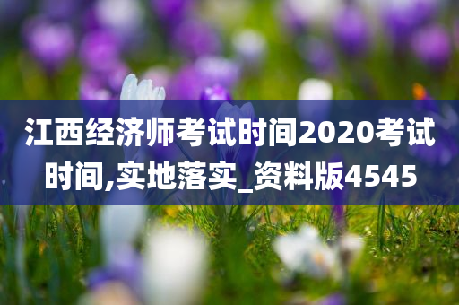 江西经济师考试时间2020考试时间,实地落实_资料版4545