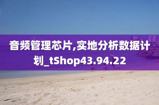 音频管理芯片,实地分析数据计划_tShop43.94.22