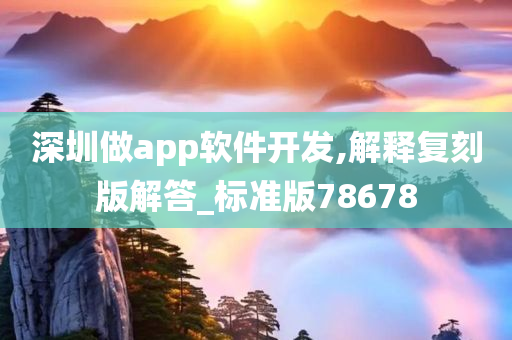 深圳做app软件开发,解释复刻版解答_标准版78678