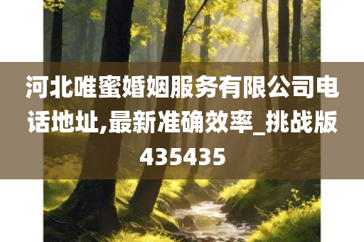 河北唯蜜婚姻服务有限公司电话地址,最新准确效率_挑战版435435