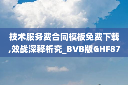 技术服务费合同模板免费下载,效战深释析究_BVB版GHF87