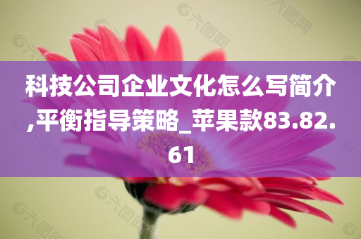 科技公司企业文化怎么写简介,平衡指导策略_苹果款83.82.61