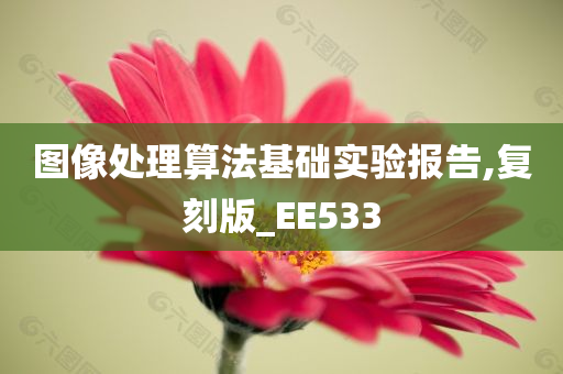 图像处理算法基础实验报告,复刻版_EE533