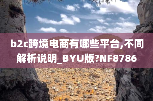 b2c跨境电商有哪些平台,不同解析说明_BYU版?NF8786