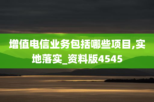 增值电信业务包括哪些项目,实地落实_资料版4545