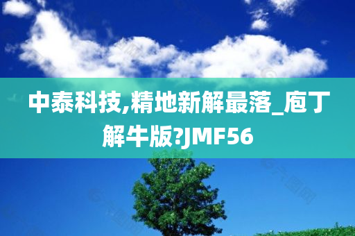 中泰科技,精地新解最落_庖丁解牛版?JMF56