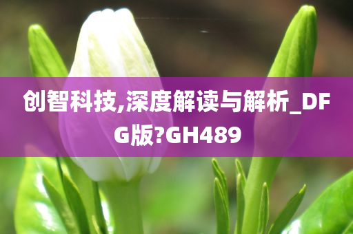 创智科技,深度解读与解析_DFG版?GH489