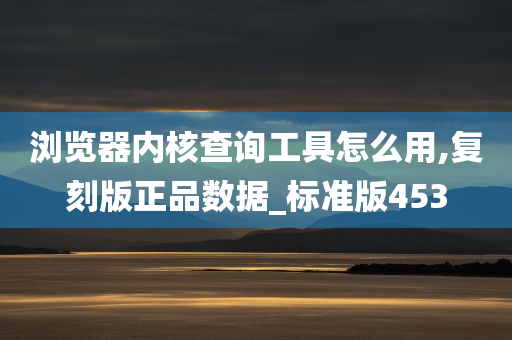 浏览器内核查询工具怎么用,复刻版正品数据_标准版453