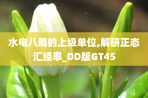 水电八局的上级单位,解研正态汇经率_DD版GT45