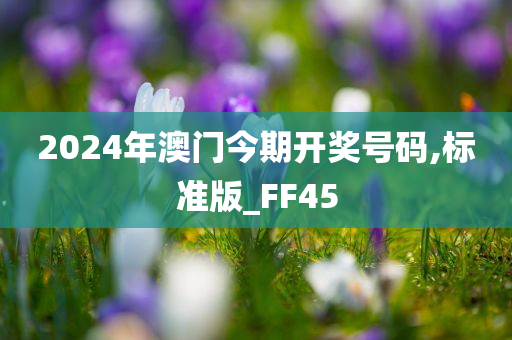 2024年澳门今期开奖号码,标准版_FF45