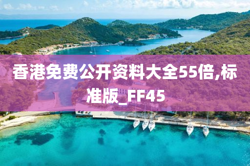 香港免费公开资料大全55倍,标准版_FF45